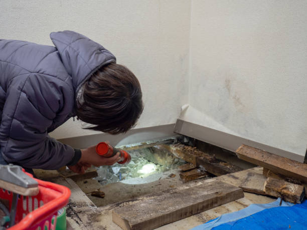 Best Airborne Mold Testing  in Hazen, ND
