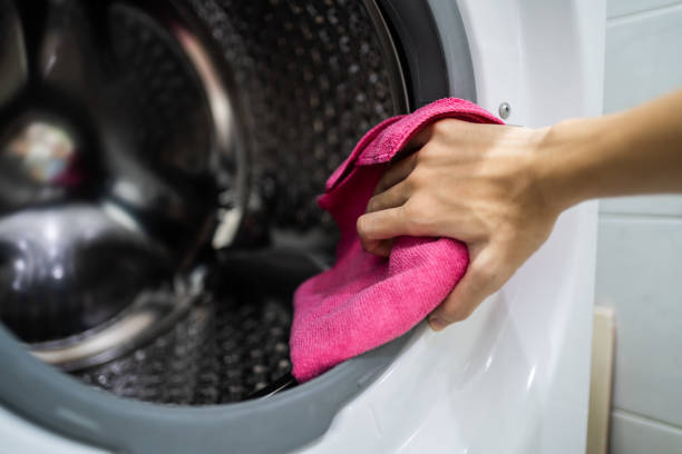  Hazen, ND Mold Removal Pros