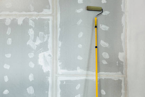 Best Mold-Related Health Consultation  in Hazen, ND