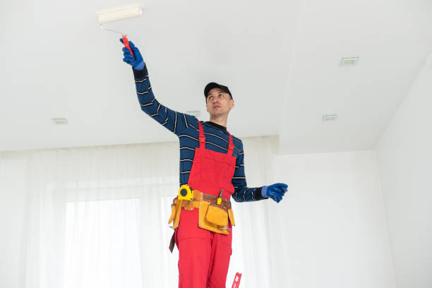 Best Environmental Consulting for Mold Prevention  in Hazen, ND