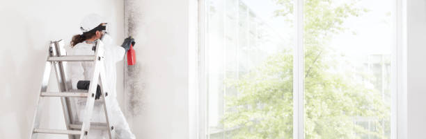 Best Real Estate Mold Inspection  in Hazen, ND