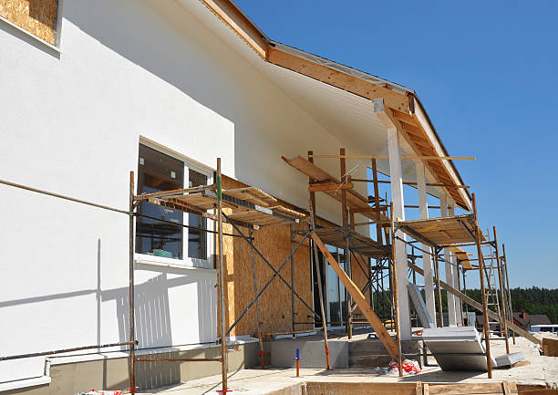 Best Mold Documentation for Insurance Claims  in Hazen, ND